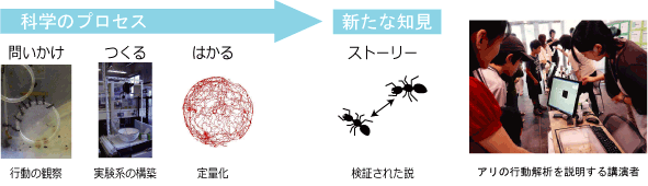 2009年７～８月に仙台宮城で実施される科学系イベント等を一元的な情報として発信