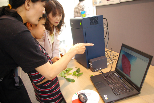 2009_s5.jpg