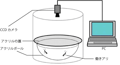 Fig.1　実験器具のイメージ