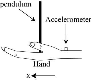 Fig.2 ヒトによる倒立振子の実験系